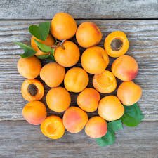 APRICOT 