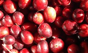 CRANBERRY 