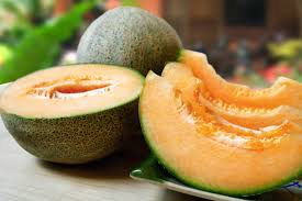 CANTALOUPE