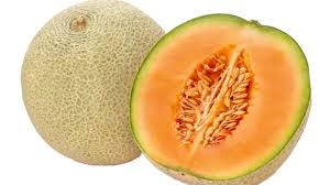 CANTALOUPE