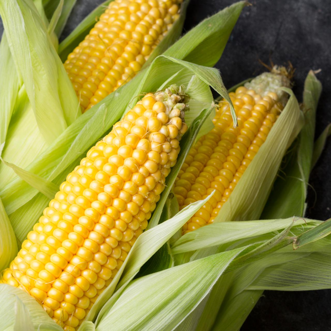 CORN 