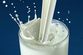 ARVIND DAIRY MILK PRODUCTS agriculture company