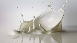 MILK