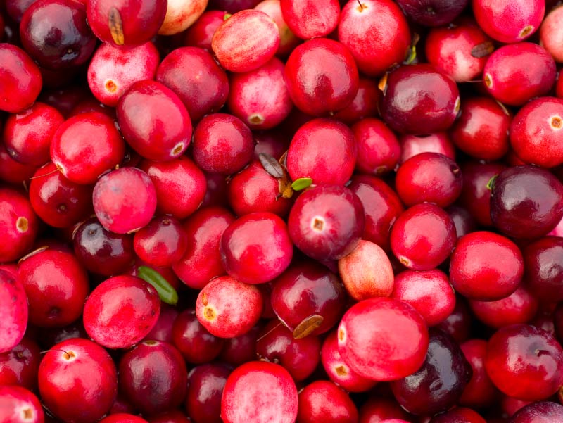 CRANBERRY 