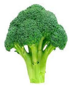 BROCCOLI