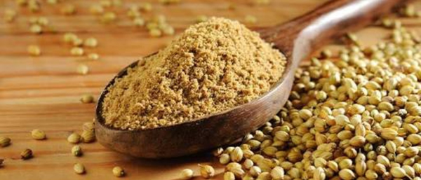 CORIANDER POWDER 