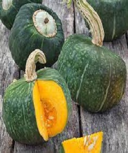 FRESH PUMPKIN