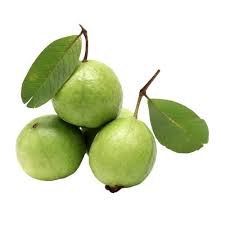 GUAVA 