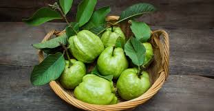 GUAVA 