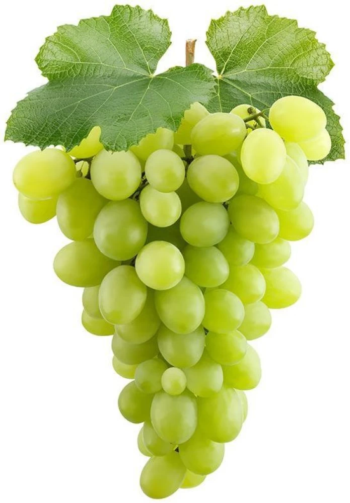 GRAPES 