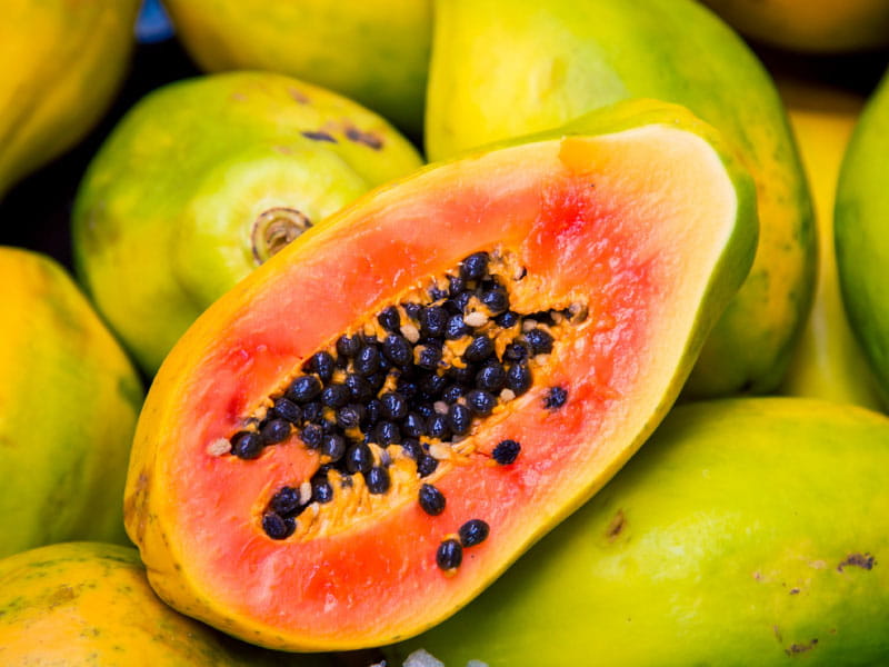 PAPAYA