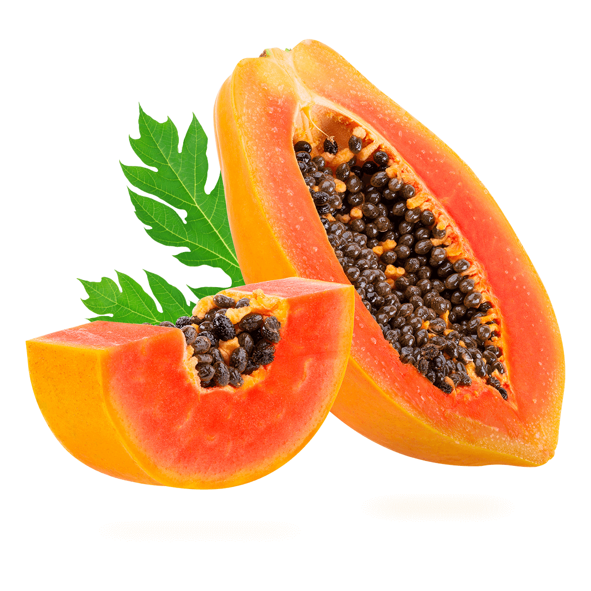 PAPAYA