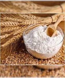 WHEAT FLOUR 