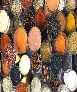 SPICES