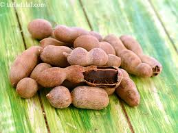 TAMARIND 