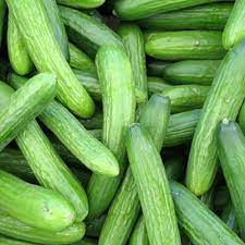 vegetables best company in india